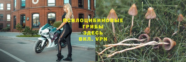 круглые Бородино